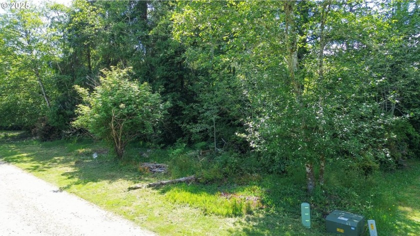 Land lot zoned for residential/recreational use on a private - Beach Lot for sale in Ocean Park, Washington on Beachhouse.com