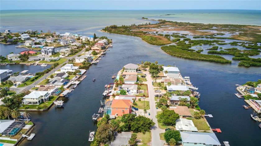 Direct Gulf Of Mexico access on the deep saltwater canal with - Beach Home for sale in Hernando Beach, Florida on Beachhouse.com