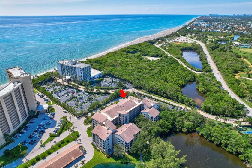 Welcome to Paradise! Do you want to live in a place from where - Beach Condo for sale in Jupiter, Florida on Beachhouse.com