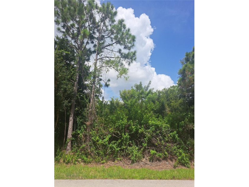 Tropical Gulf Acres is a perfect location to build your new - Beach Lot for sale in Punta Gorda, Florida on Beachhouse.com