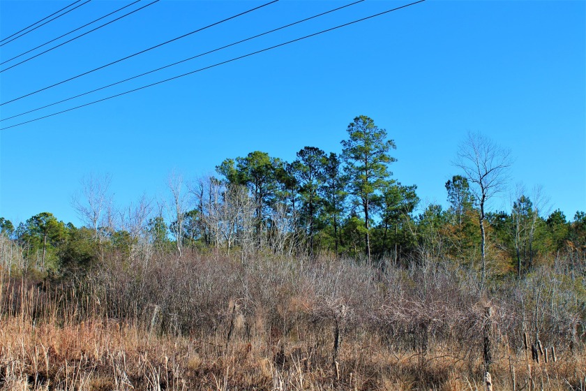 Motivated Seller!!  Large 18.38acre tract of land with over - Beach Acreage for sale in Supply, North Carolina on Beachhouse.com