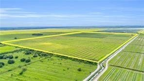 Exceptional Groveland ready for a new citrus or fruit operation - Beach Acreage for sale in Vero Beach, Florida on Beachhouse.com