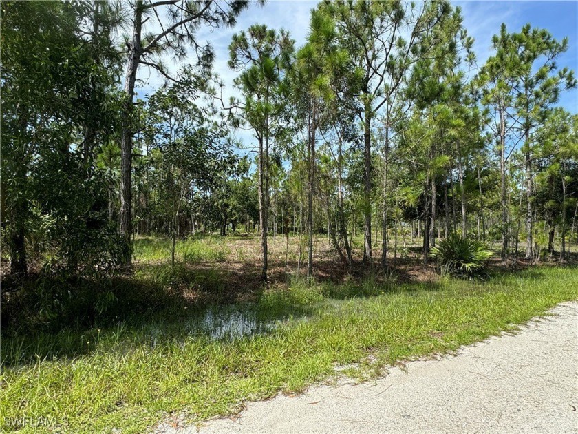 Nestled in the tranquil, rural community of Tropical Gulf Acres - Beach Lot for sale in Punta Gorda, Florida on Beachhouse.com