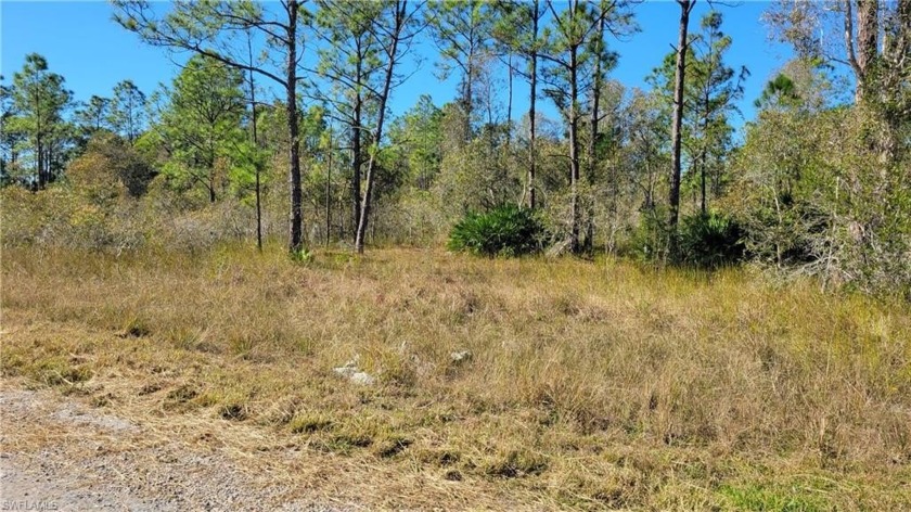 Welcome to the site of your dream home!  Nestled in a quiet - Beach Lot for sale in Lehigh Acres, Florida on Beachhouse.com