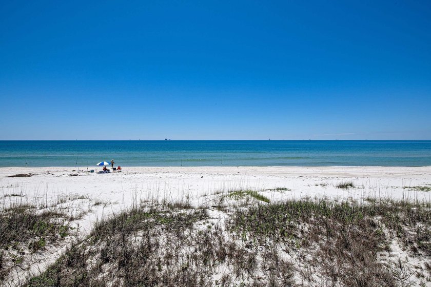 Seize one of the most difficult-to-find beachfront opportunities - Beach Lot for sale in Gulf Shores, Alabama on Beachhouse.com