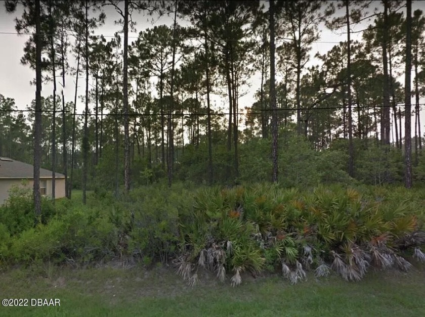 Large lot conveniently located in between Belle Terre Parkway - Beach Lot for sale in Palm Coast, Florida on Beachhouse.com