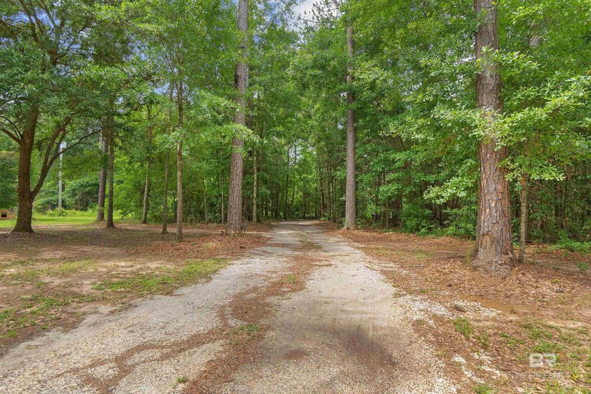 24 wooded acres in Baldwin County offering privacy, versatility - Beach Acreage for sale in Robertsdale, Alabama on Beachhouse.com