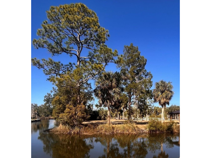 Suwannee Waterfront RV-Ready Lot -- Rare Grandfathered Exception - Beach Lot for sale in Suwannee, Florida on Beachhouse.com