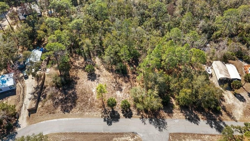 Discover the perfect opportunity to own just over an acre of - Beach Lot for sale in Steinhatchee, Florida on Beachhouse.com