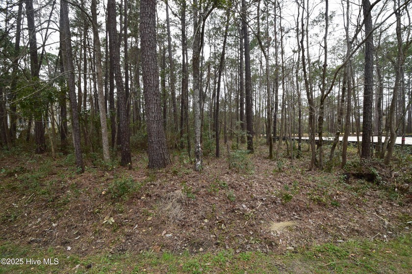 DO NOT MISS THIS OPPORTUNITY. PRICE REDUCTION. Last lot on this - Beach Lot for sale in New Bern, North Carolina on Beachhouse.com