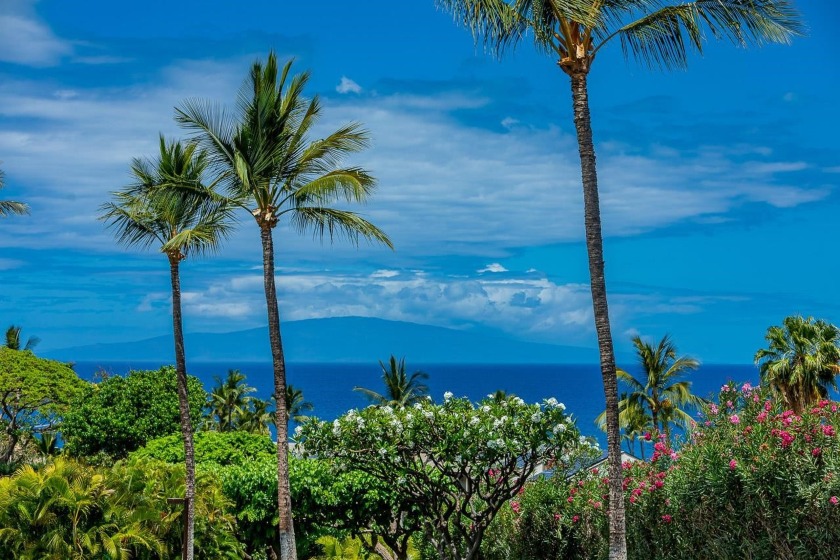 Spectacular remodel with updated kitchen, baths, cabinets - Beach Condo for sale in Kihei, Hawaii on Beachhouse.com