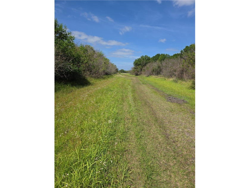 Property currently has many beautiful trees but easy to clear - Beach Acreage for sale in Vero Beach, Florida on Beachhouse.com