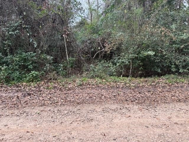 Conveniently Located High and dry land, tucked away just enough - Beach Lot for sale in Tallahassee, Florida on Beachhouse.com