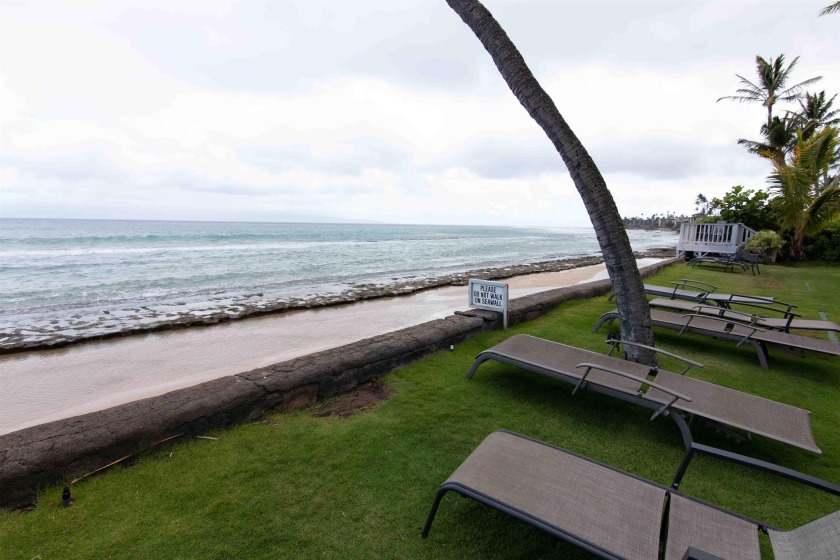 Come and check out this oceanfront bargain!  This ground floor - Beach Condo for sale in Lahaina, Hawaii on Beachhouse.com