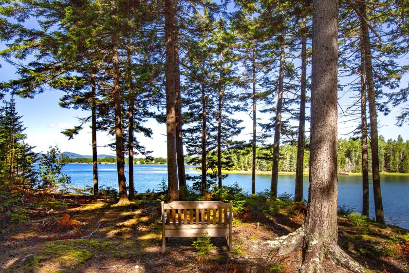 This parcel of waterfront land is perched up and out of the - Beach Lot for sale in Islesboro, Maine on Beachhouse.com