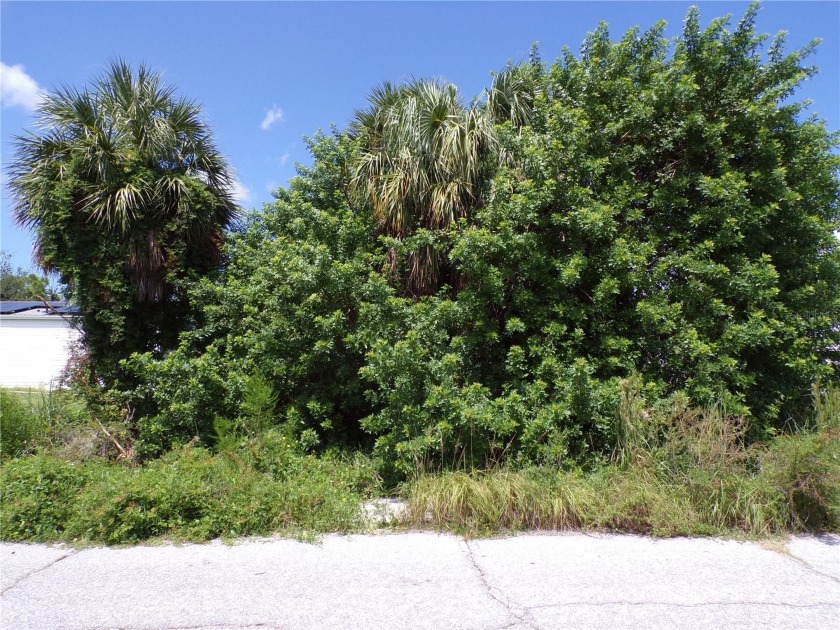 This lot is on a quiet street that would be a great place to - Beach Lot for sale in Punta Gorda, Florida on Beachhouse.com