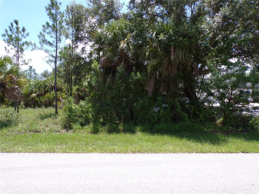 This lot is on a quiet street that would be a great place to - Beach Lot for sale in Port Charlotte, Florida on Beachhouse.com