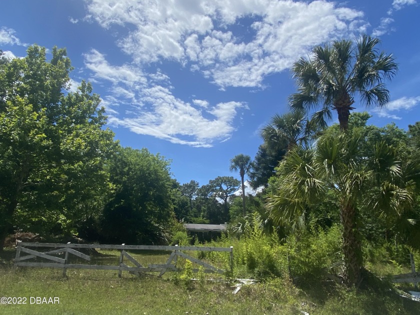 Investor Opportunity! In the heart of Ormond Beach lies 3 acres - Beach Home for sale in Ormond Beach, Florida on Beachhouse.com