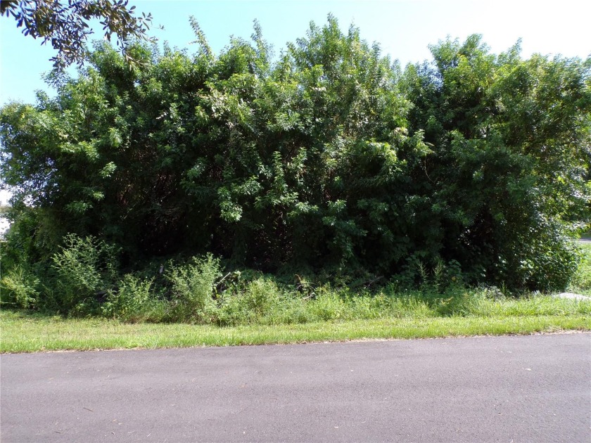 This beautiful corner lot is on a quiet street that would be a - Beach Lot for sale in Port Charlotte, Florida on Beachhouse.com