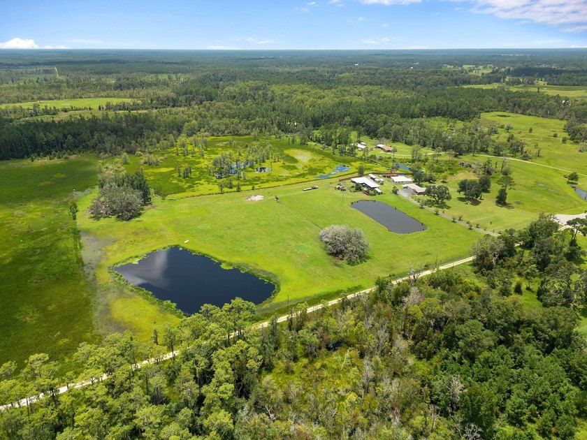 Gorgeous one owner farm ready for it's next owner. Thirty - Beach Home for sale in Perry, Florida on Beachhouse.com