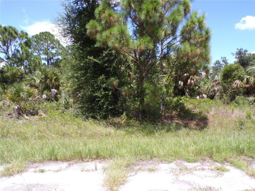 This double lot is in Flood Zone X and is over a Half Acre - Beach Lot for sale in North Port, Florida on Beachhouse.com