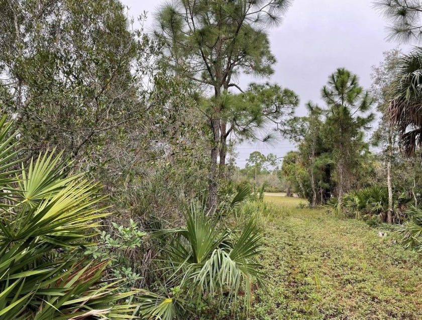 Under contract-accepting backup offers. Beautiful 2.01 acre - Beach Acreage for sale in Punta Gorda, Florida on Beachhouse.com