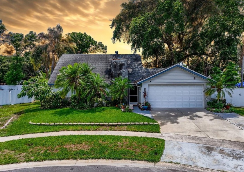 Welcome home to your 2000+ sq/ft home with an amazing pool! You - Beach Home for sale in Tampa, Florida on Beachhouse.com