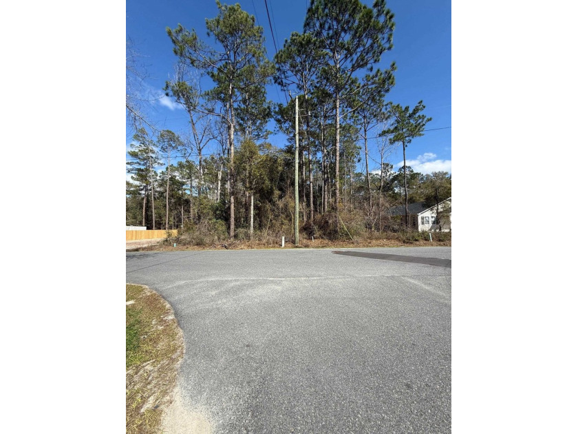 Uncleared vacant land in Wakulla Gardens of Wakulla County - Beach Lot for sale in Crawfordville, Florida on Beachhouse.com