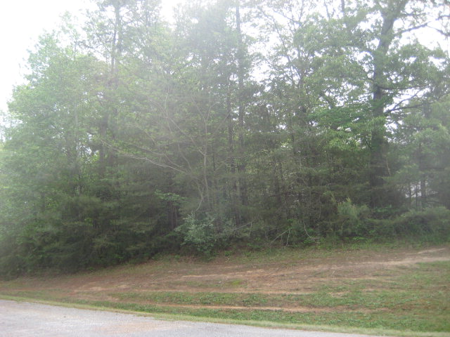 Nice wooded lot with limited view of Flyway Lake. Numerous - Beach Lot for sale in Heathsville, Virginia on Beachhouse.com