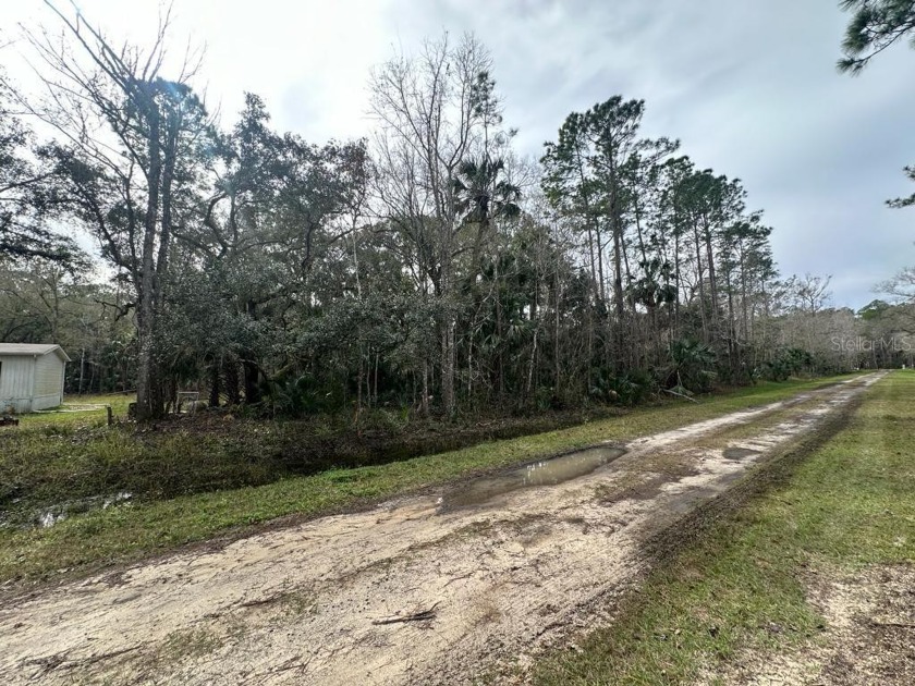 Unveiling an exceptional opportunity to build your vision on - Beach Lot for sale in Bunnell, Florida on Beachhouse.com