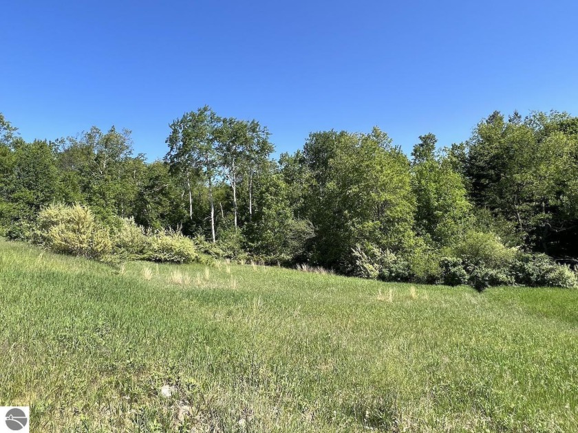 Imagine your northern getaway on this 3.27 acre wooded parcel in - Beach Acreage for sale in Alden, Michigan on Beachhouse.com
