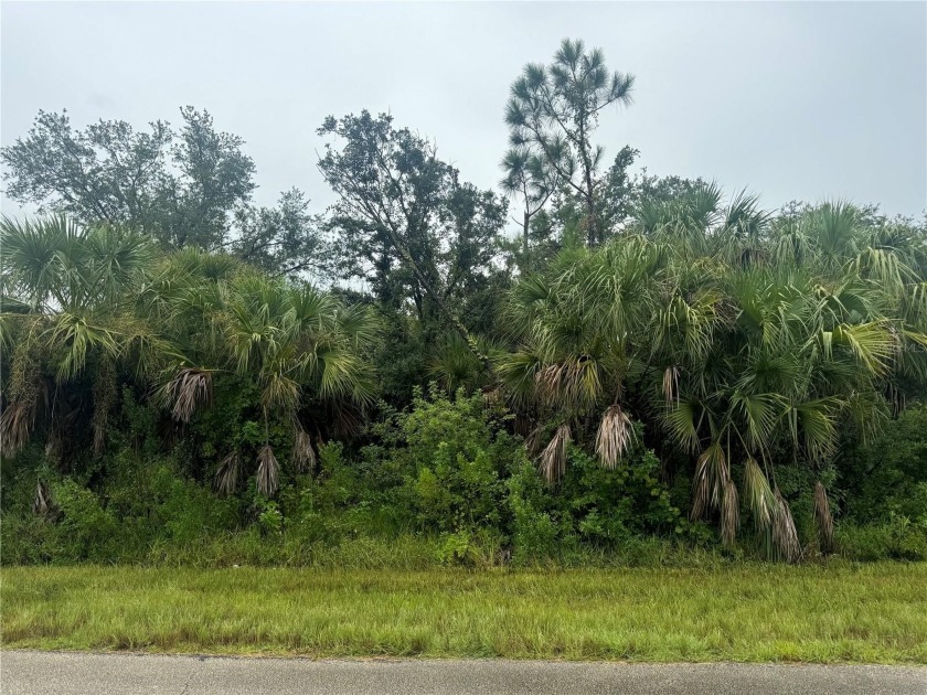 Discover the perfect *DOUBLE CORNER LOT* for your dream home in - Beach Lot for sale in Port Charlotte, Florida on Beachhouse.com