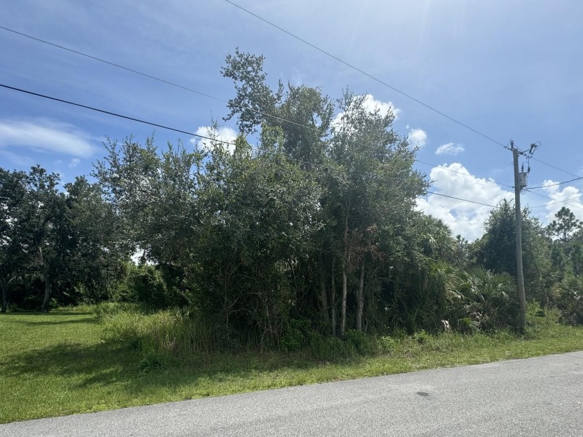 Whether you're looking to build your forever home or invest in a - Beach Lot for sale in North Port, Florida on Beachhouse.com