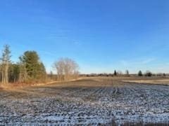 This is a Prime Multi-Use undeveloped 22 +/- acre  property just - Beach Acreage for sale in Applegate, Michigan on Beachhouse.com