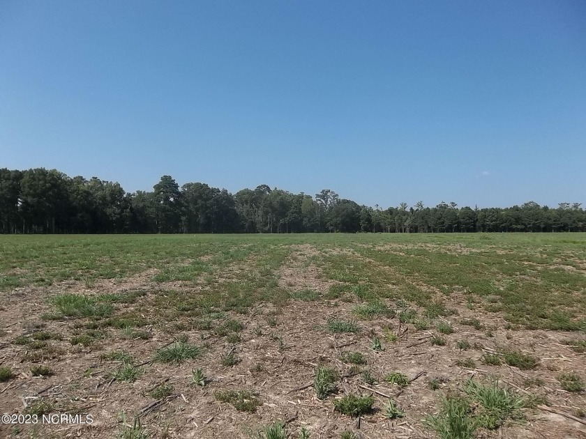 Beautiful 10 Acres with no HOA or deed restrictions. Perfect for - Beach Acreage for sale in Camden, North Carolina on Beachhouse.com