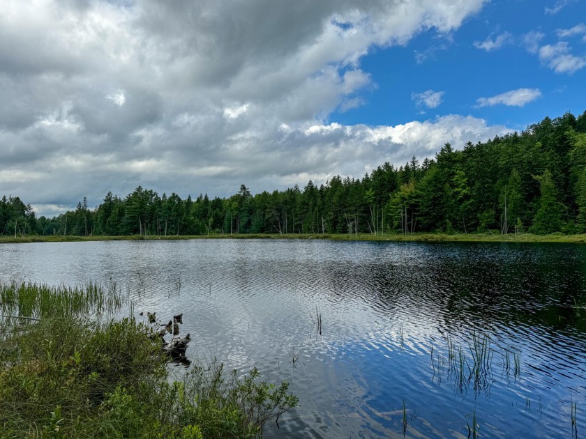 Nestled in the small town of Robbinston, Maine, this sprawling - Beach Acreage for sale in Robbinston, Maine on Beachhouse.com