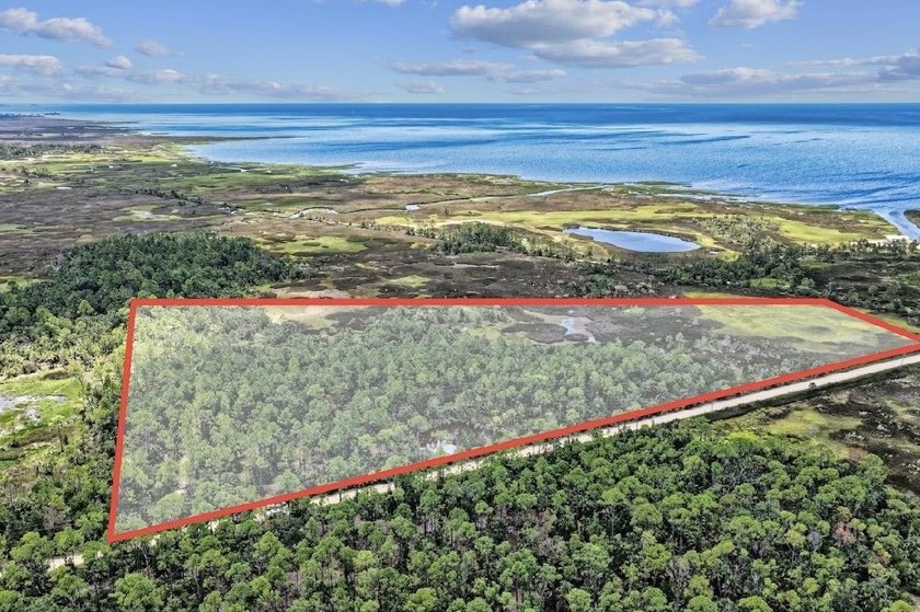 Rare 24 acres of pristine Old Florida land, with stunning - Beach Acreage for sale in Keaton Beach, Florida on Beachhouse.com