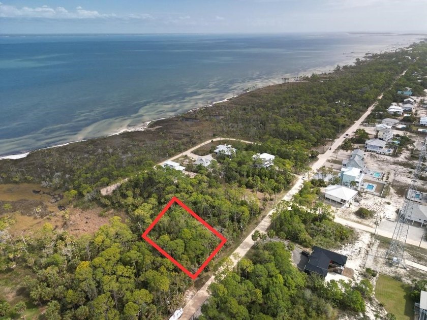Build your dream coastal retreat on this beautifully wooded - Beach Lot for sale in St. George Island, Florida on Beachhouse.com