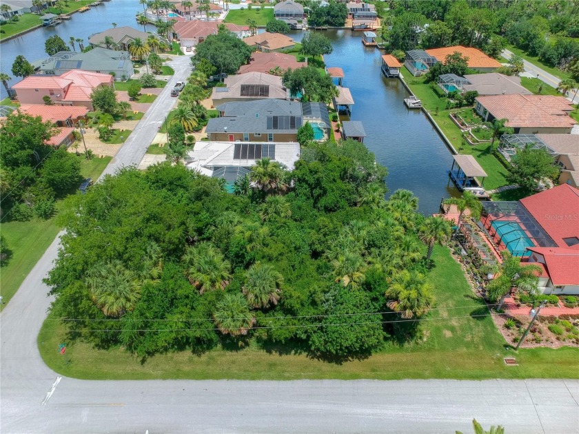 Oversized CORNER waterfront lot,saltwater frontage of - Beach Lot for sale in Palm Coast, Florida on Beachhouse.com