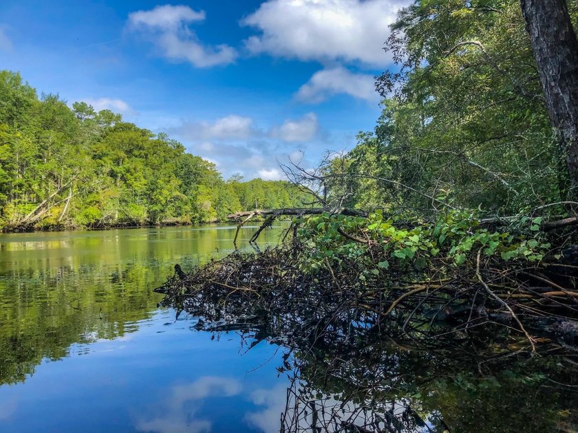 This 22 +/- tract presents an excellent opportunity for a - Beach Acreage for sale in Crawfordville, Florida on Beachhouse.com