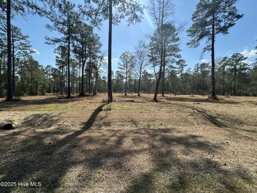 ADJACENT LOTS FOR SALE IN WATER ACCESS COMMUNITY - Lots 32 - Beach Acreage for sale in Belhaven, North Carolina on Beachhouse.com
