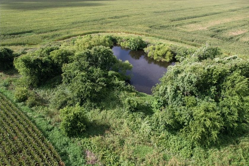 This farm has been in row crop production for almost 50 years - Beach Acreage for sale in Palacios, Texas on Beachhouse.com