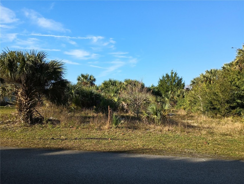 Welcome to a Florida paradise! This prime 80'x125' lot is - Beach Lot for sale in Palm Coast, Florida on Beachhouse.com