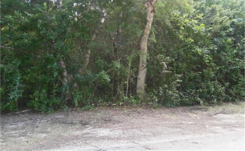 Permit for a Modular home. Two lots for your privacy to build - Beach Lot for sale in Key Largo, Florida on Beachhouse.com