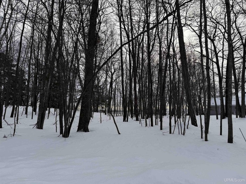 Imagine building your dream home atop the Bluffs, overlooking - Beach Lot for sale in Gladstone, Michigan on Beachhouse.com