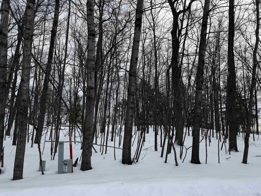 Discover the Bluff Edge--an exceptional opportunity to build - Beach Lot for sale in Gladstone, Michigan on Beachhouse.com