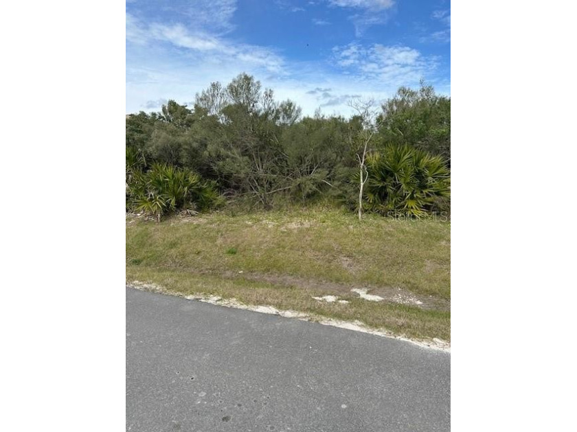 Wanting to build your dream home close to the Ocean? this is the - Beach Lot for sale in Palm Coast, Florida on Beachhouse.com