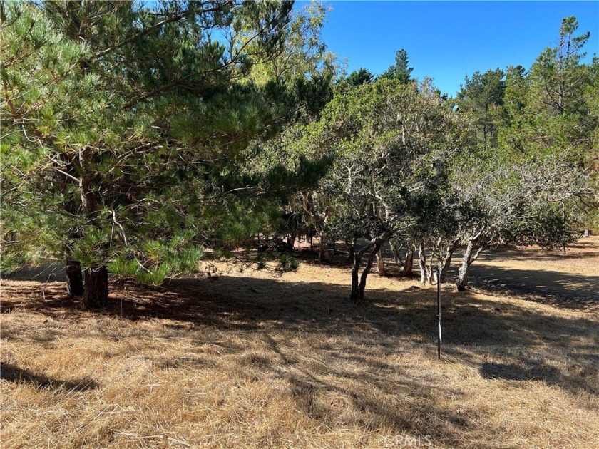 On Lodge Hill West of Highway One. Corner of Wales Rd & Tully Pl - Beach Lot for sale in Cambria, California on Beachhouse.com