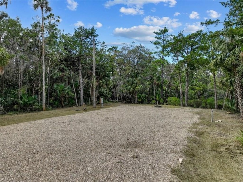 Tucked away in the trees with peaceful canal access, this - Beach Lot for sale in Steinhatchee, Florida on Beachhouse.com