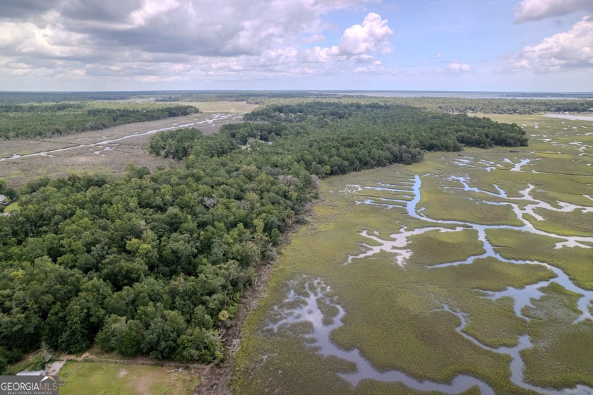 DISCOVER 6 ACRES OF PRISTINE WATERFRONT PROPERTY, INCLUDING 1.54 - Beach Acreage for sale in Woodbine, Georgia on Beachhouse.com
